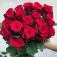 Hoa Hồng Đỏ Mina 